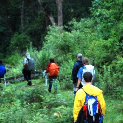 bhutan-tour 