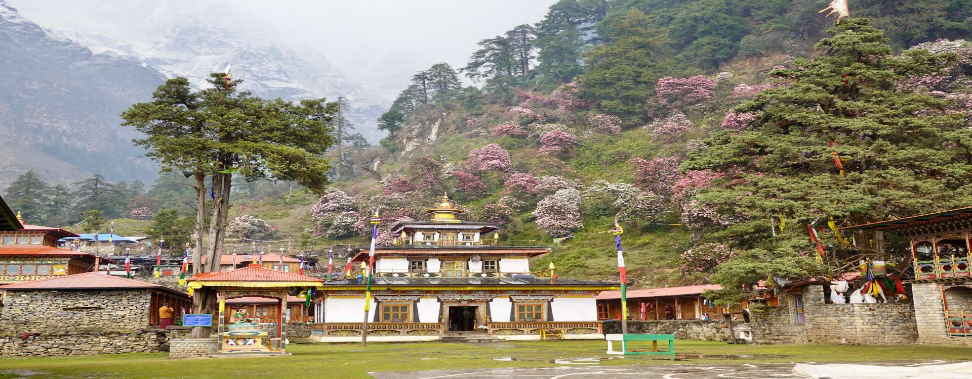 Discover the Ultimate Accessible Adventure: Your Comprehensive Guide to the Manaslu Circuit Trek in Nepal&rsquo;s Majestic Himalayas