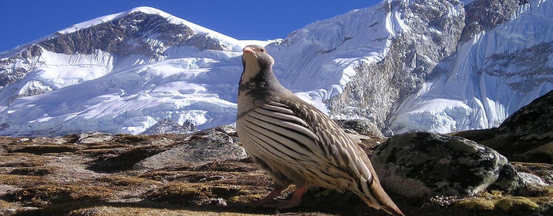 Everest Base Camp Trek with Accessible Adventure_ A Journey to Remember 