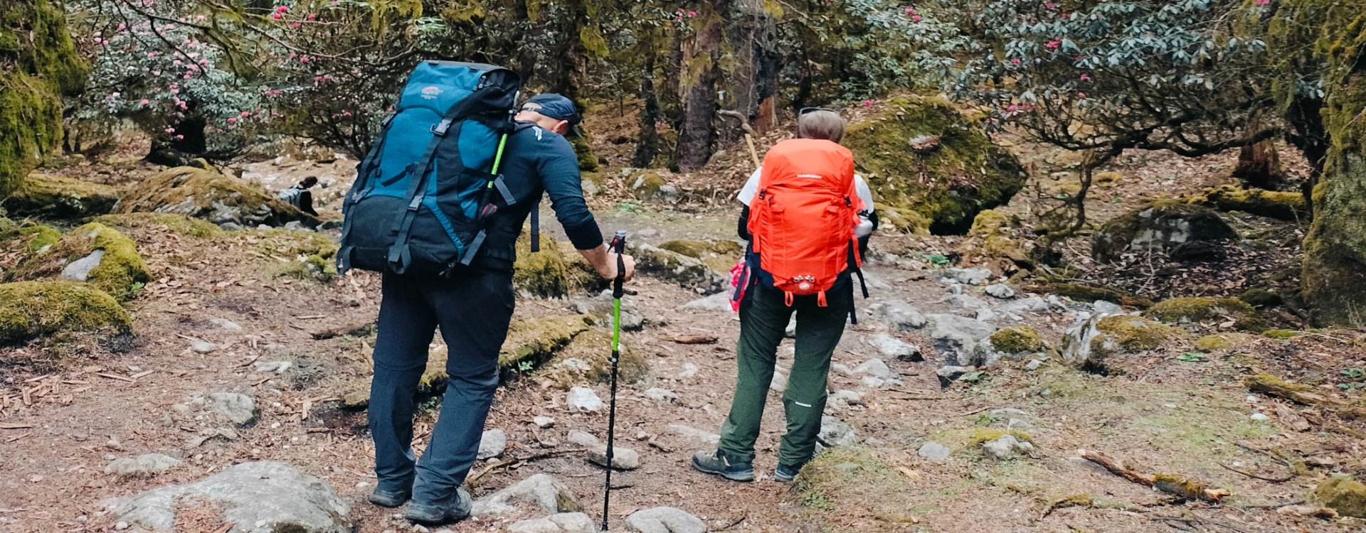 Discover the Magic of the Himalayas_ Annapurna Circuit Trek with Accessible Adventure 